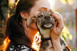 adopt-dog-web