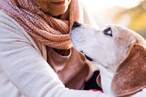 elderly-dog-care-web